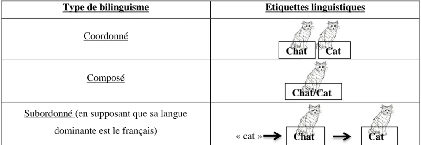 Tableau 1 - Les différents types de bilinguismes selon l'organisation cognitive du sujet bilingue 