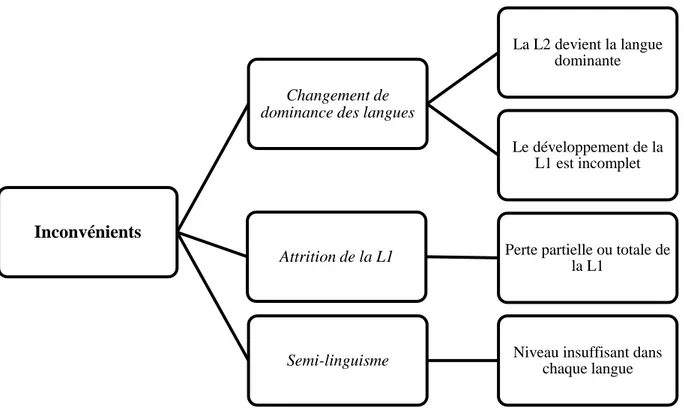 Figure 3 - Inconvénients du bilinguisme 