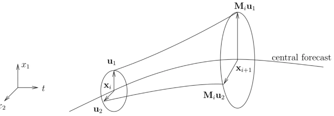 Figure 4.1: Forecast of the error covariance with the tangent linear model