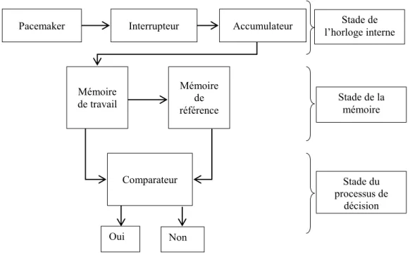 Figure 1. Modèle du traitement de l’information temporelle (Gibbon et al., 1984; Allman et al.,  2014)