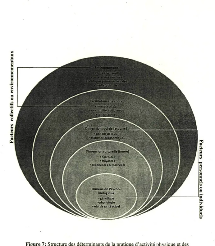 Figure 7: Structure des déterminants de la pratique d'activité physique et des  comportements alimentaires (adaptée de (Booth, Sallis et al