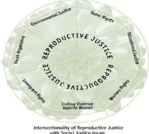Figure 1 Concept de justice reproductive