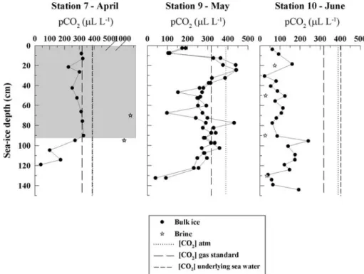 Fig. 8. High-resolution pCO 2 profiles on natural sea ice sampled in Barrow. Stations 7, 9 and 10 are shown