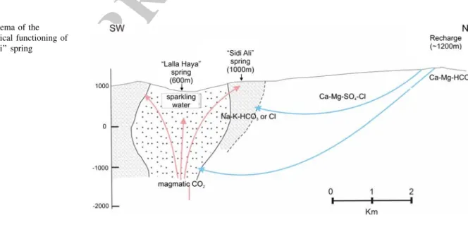 Fig. 13 Schema of the hydrogeological functioning of the ‘‘Sidi Ali’’ spring