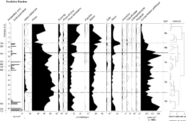 Figure  6  :  Diagramme  pollinique  (pourcentages;  taxons  polliniques  choisis)  et  de  l’anthracomasse  de  la  tourbière  Shadow