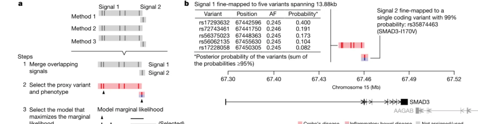Figure 1 | Fine-mapping procedure and output using the SMAD3 region  as an example. a, (1) We merge overlapping signals across methods; 