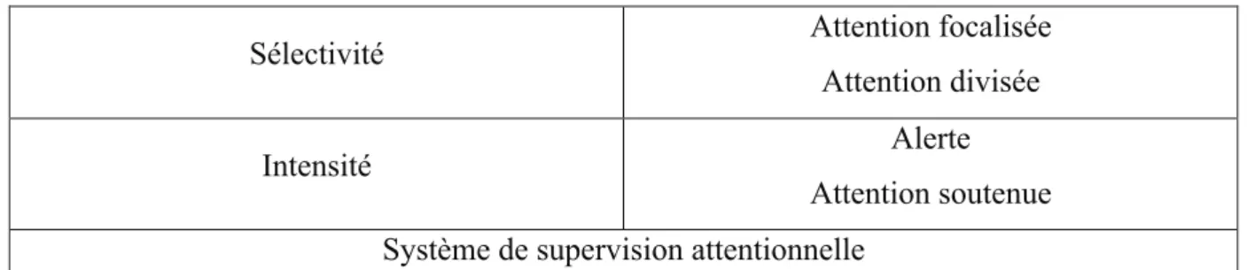 Figure 9 : les aspects de l’attention selon Van Zomeren et Brouwer (1994) 