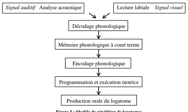 Figure 5 : Modèle de répétition de logatomes  