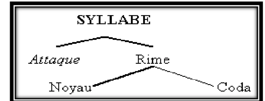 Figure 8 : Représentation de la structure syllabique 