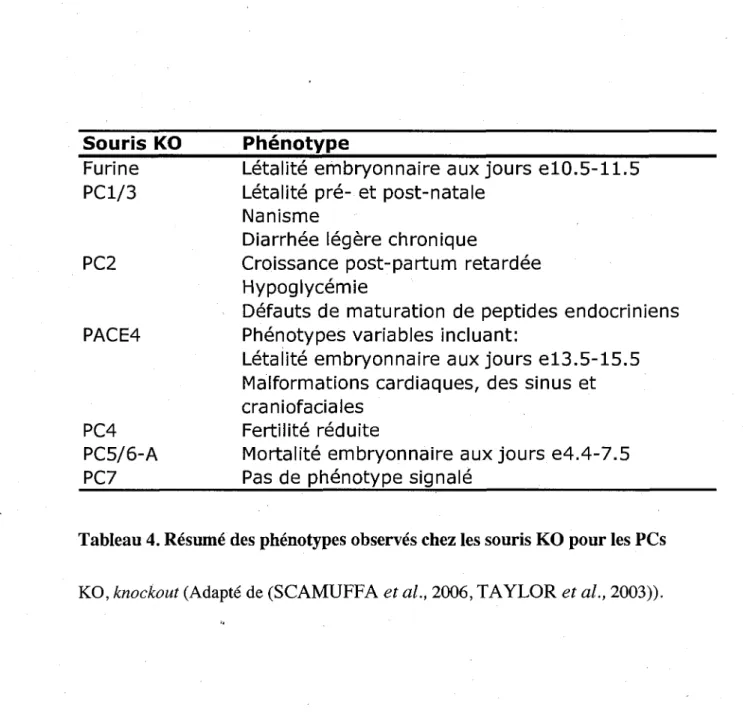 Tableau 4. Resume des phenotypes observes chez les souris KO pour les PCs  KO, knockout (Adapte de (SCAMUFFA et al., 2006, TAYLOR et al., 2003))