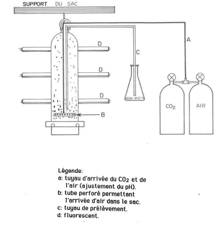 Figure  2.  Montage expérimenta1. 