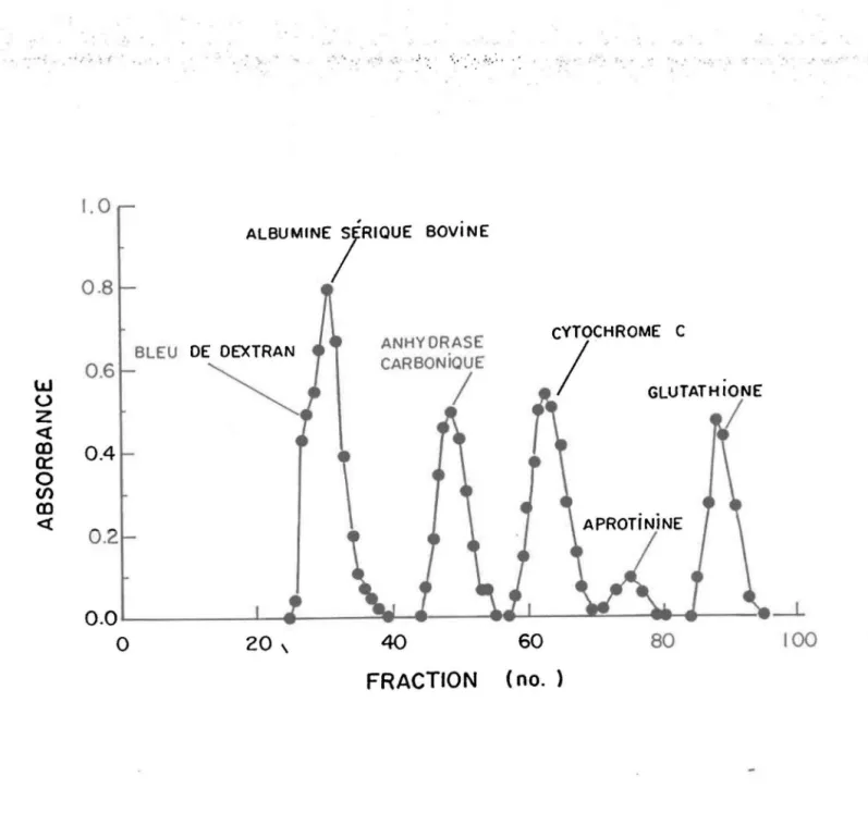 FIgure  4.  Profil d'élut1on des protéInes étalons et du  glutathlon. 