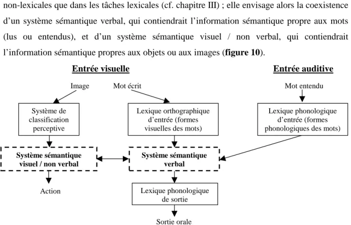 Figure 10 : Modèle plurimodal de Warrington  