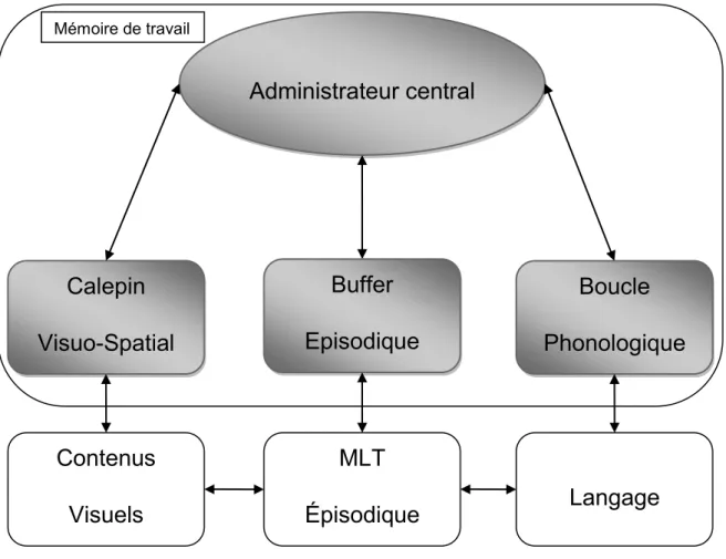 Fig. 1. Les composants de la mémoire de travail d’après Baddeley (2000), (Repovs  et Baddeley, 2006)  