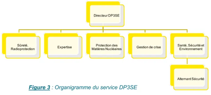 Figure 3 : Organigramme du service DP3SE 