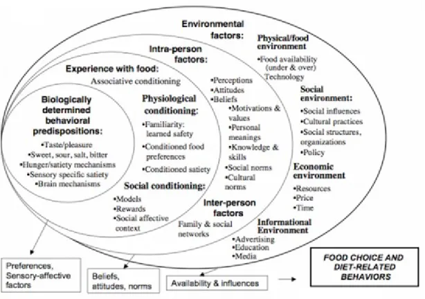 Figure 2 : Déterminants des choix et comportements alimentaires par Contento 
