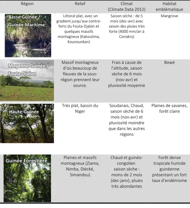 Tableau 1 : Présentation des quatre grandes régions naturelles de Guinée et de leurs  particularités paysagères 