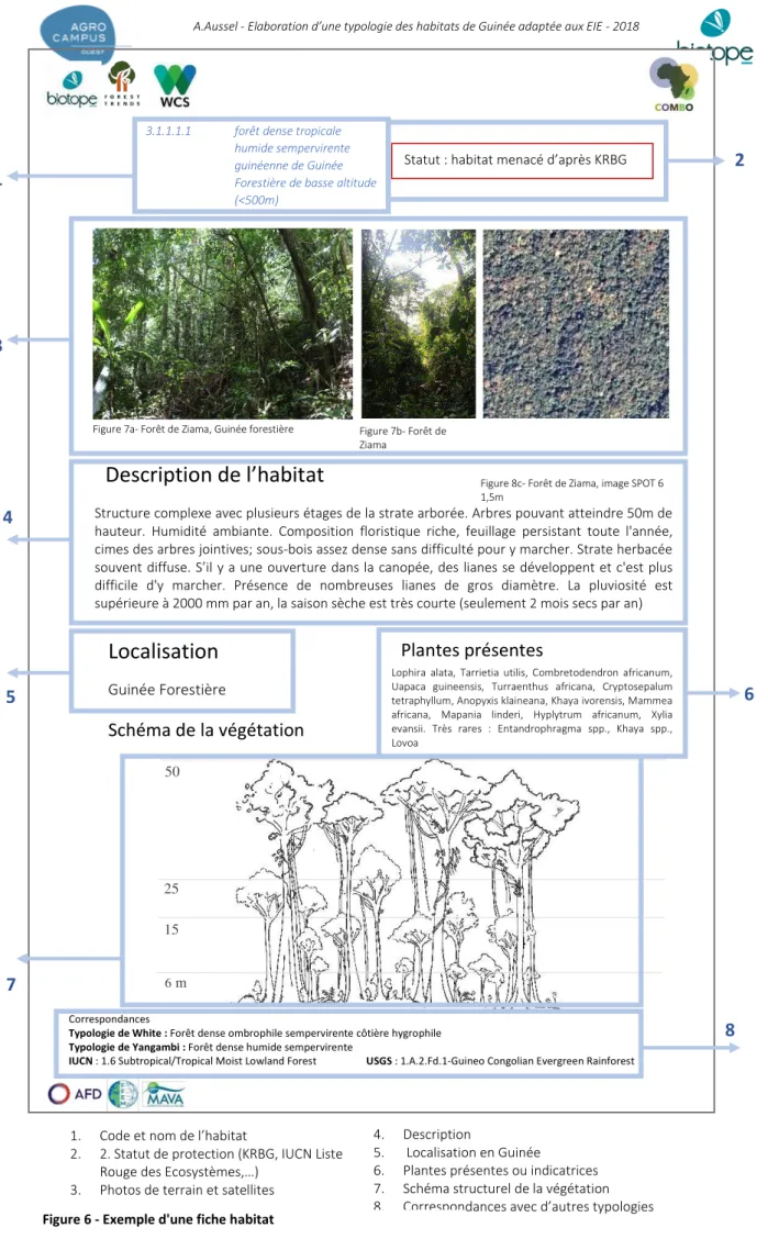 Figure 8c- Forêt de Ziama, image SPOT 6  1,5m  4  5  7  6  Correspondances  