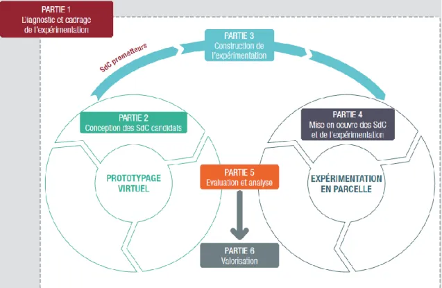 Figure 3 : Les différentes étapes des ateliers de co-conception – Different steps of co- co-conception workshops (Reau et al