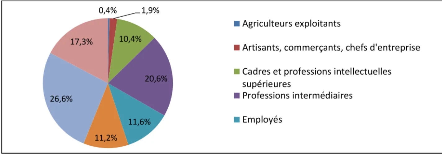 Figure 13: Population de Maroeuil, de 15 ans ou  plus, répartie selon leur catégorie socio  professionnelle (d’après INSEE, RP 2011)