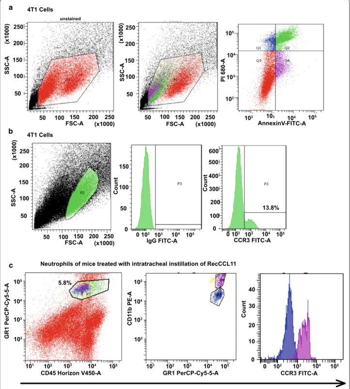 Fig. 3  Measurement of CCR3 on 4T1 cells and neutrophils by flow cytometry. a The dot plot diagrams represent typical apoptotic and necrotic 4T1  cell populations detected by Annexin V-FITC and PI staining