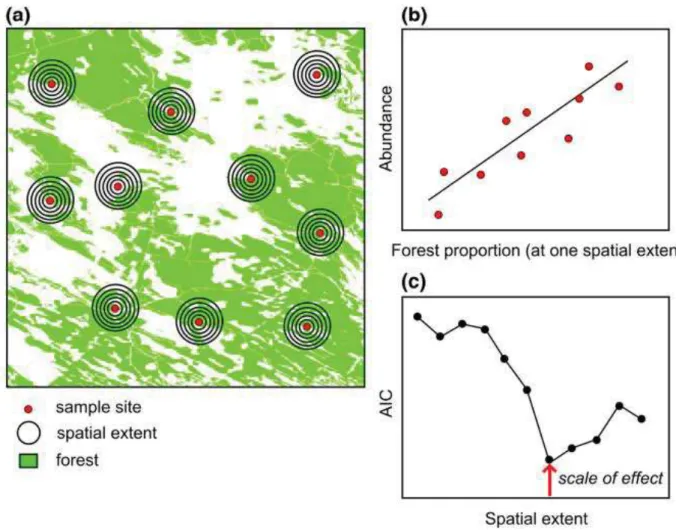 Figure 5 : Exemple montrant comment estimer empiriquement l’échelle d’effet en utilisant  un site d’étude et d’échantillonnage multi-échelle