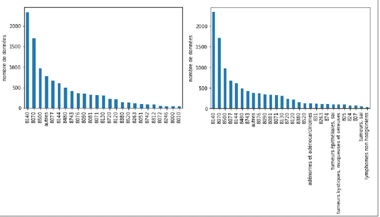 Figure 7 : Répartition des morphologies  