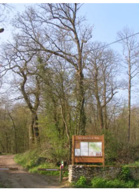 Figure 12 L'entrée de la forêt de Marly –   Source personnelle 