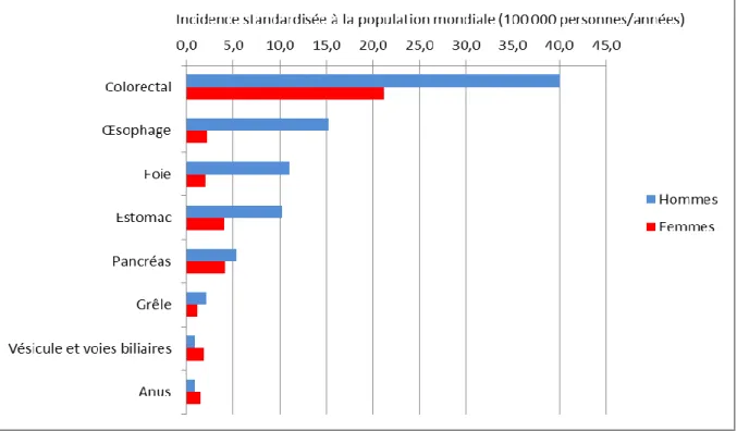 Figure 5 : Incidence standardisée à la population mondiale des différents cancers digestifs selon le sexe sur  la période 1999-2008 dans BMO 