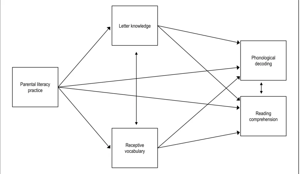 Figure 2 : Modeled pathways between the main variables  Parental literacy  practice  Letter knowledge  Receptive  vocabulary  Phonological decoding Reading  comprehension 