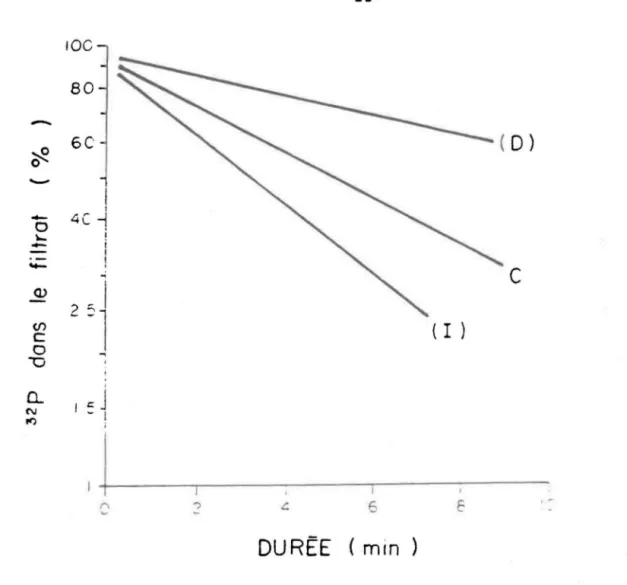 FIGURE  2.3.  Interprétation  du  profil  d'incorporation  du  P04.  La  CVIP  d'un  réacteur  témoin  (C)  où  on  a  ajouté  l'eau  &#34;Q&#34;  J1illipore  est  comparée  à  l'ajout  des  fractions  à  l'étude