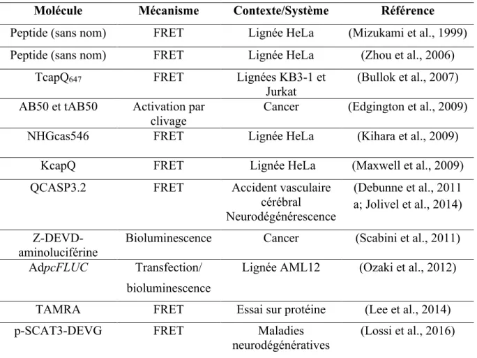 Tableau 2 : Liste de sondes fluorescentes ciblant la caspase 3 