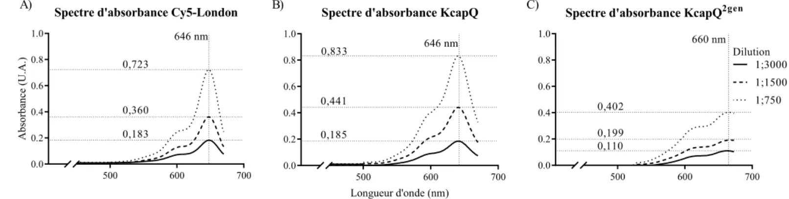 Figure 12 : Spectres d’absorbance des sondes moléculaires 