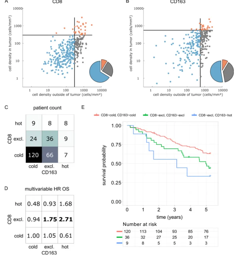 Figure 7. Prognostic value of the myeloid-lymphoid topography in primary colorectal cancer (CRC) in the DACHS cohort