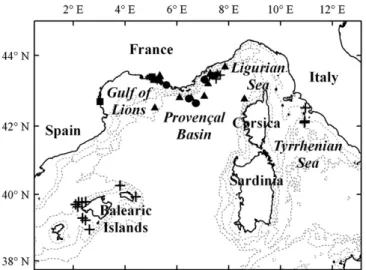 Fig. 1. Map of the study area and sampling locations. Species are denoted by the following symbols: sperm whales (triangles), pilot whales (dots), Risso’s dolphins (squares) and cephalopods (crosses).