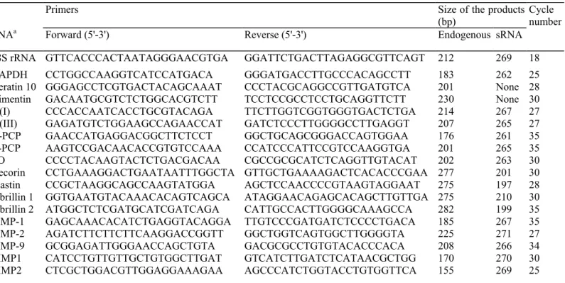 Table I. Nucleotide sequence of the primers, size of the generated reverse transcription-PCR products and  