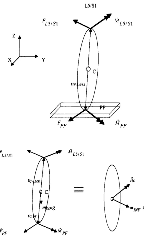 Figure  11.  Diagramme du corps libre du segment inférieur. 