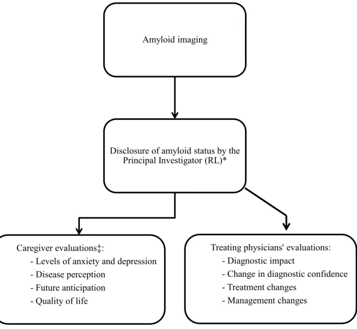 Figure 2. Assessment of the impact of amyloid imaging on the diagnostic process and main caregiver