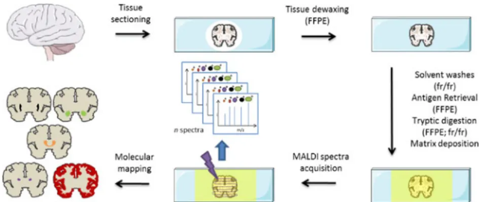 Figure 2 illustrates the adopted workflow and the results of this study.