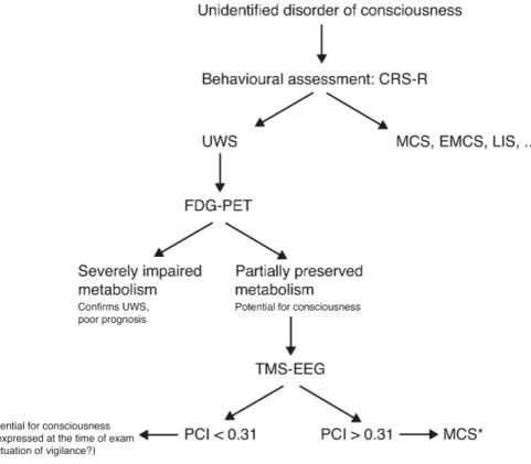 Figure 7 – Potential diagnostic algorithm 