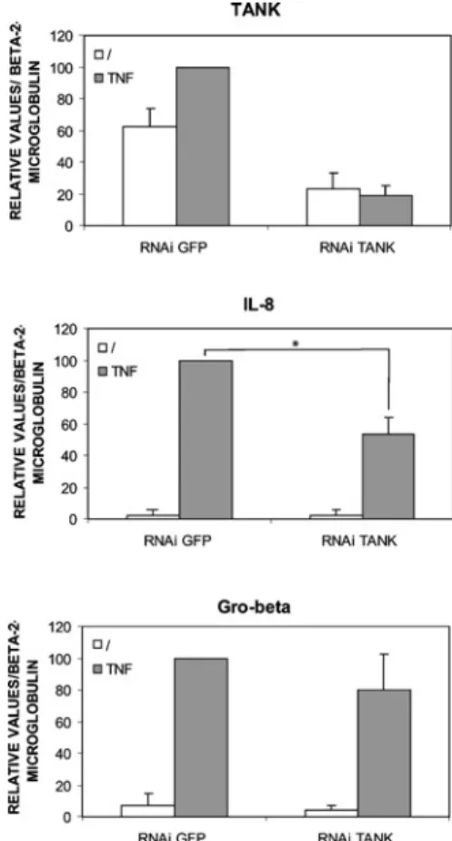 Figure 8 Identification of selected TNF α -induced genes that require TANK Total RNAs from GFP or TANK RNAi HeLa cells either untreated or stimulated with TNF α were subjected to reverse transcription followed by real-time PCR analyses using the appropriat