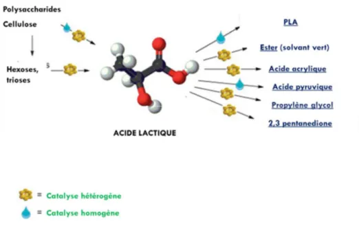 Figure 1.1 : Différents débouchés industriels de l'acide lactique 5