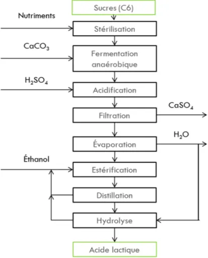 Figure 2.1 : Schéma du procédé biotechnologique de production de l'AL 