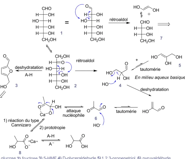 Figure 2.3 : Chemins réactionnels pour la transformation du glucose en acide lactique 