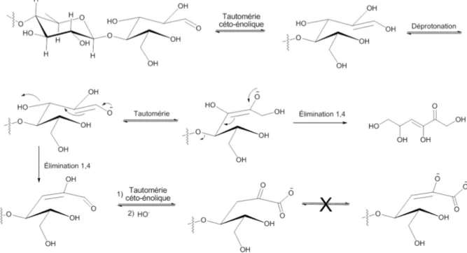 Figure 2.6 : Mécanismes de dépolymérisation de la cellulose en milieu basique 