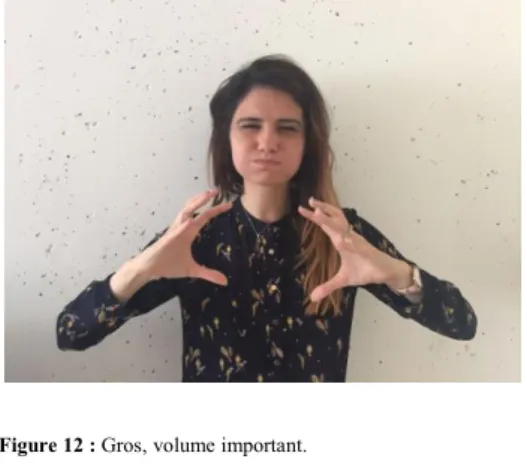 Figure 13 : Expression faciale qui correspond à "grande quantité  de ", "grand nombre de", "gros, volume important"
