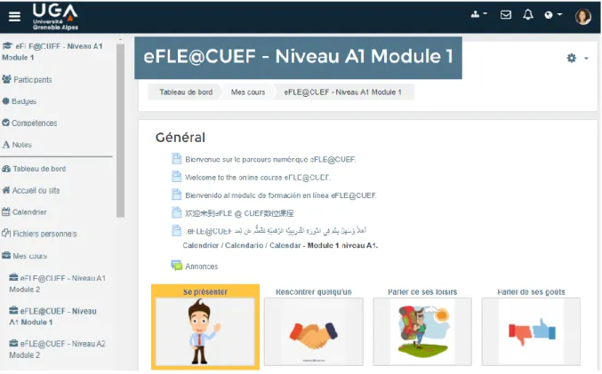 Figure 5 Menu d'accueil du dispositif eFLE@CUEF