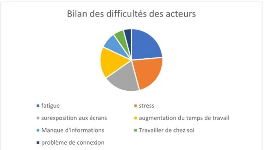 Figure 10 Représentation graphique des principales difficultés 