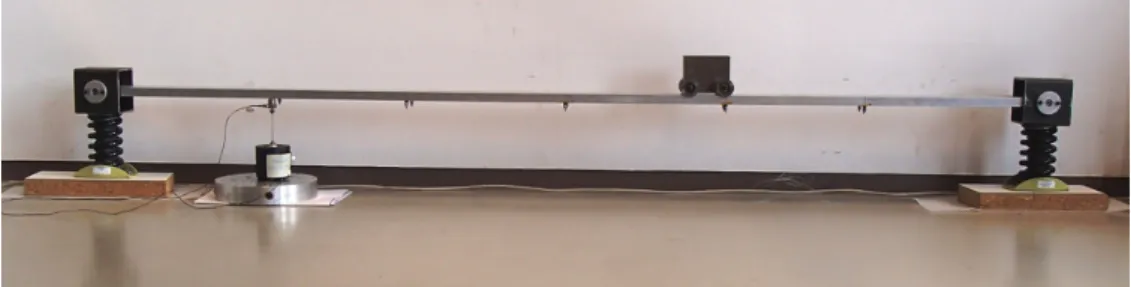 Figure 1: The supported beam on which the mass is moving.