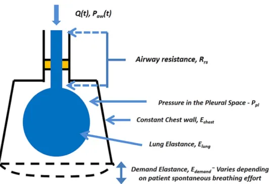 Fig 1. The measured airway pressure consists of 4 pressure components: 1) Pressure drop due to airway resistance (P rs ); 2) pressure in the lung compartments (Plung(t) = Elung(t) ×V(t)); 3) A constant chest wall pressure, P chest = E chest (t)×V(t); and 4